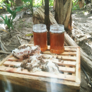 100% Pure Raw Multifloral Honey (Special Batch)